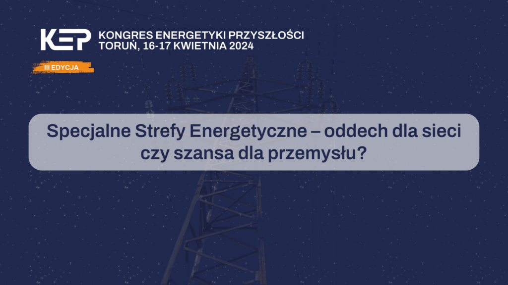 Specjalne Strefy Energetyczne SSE